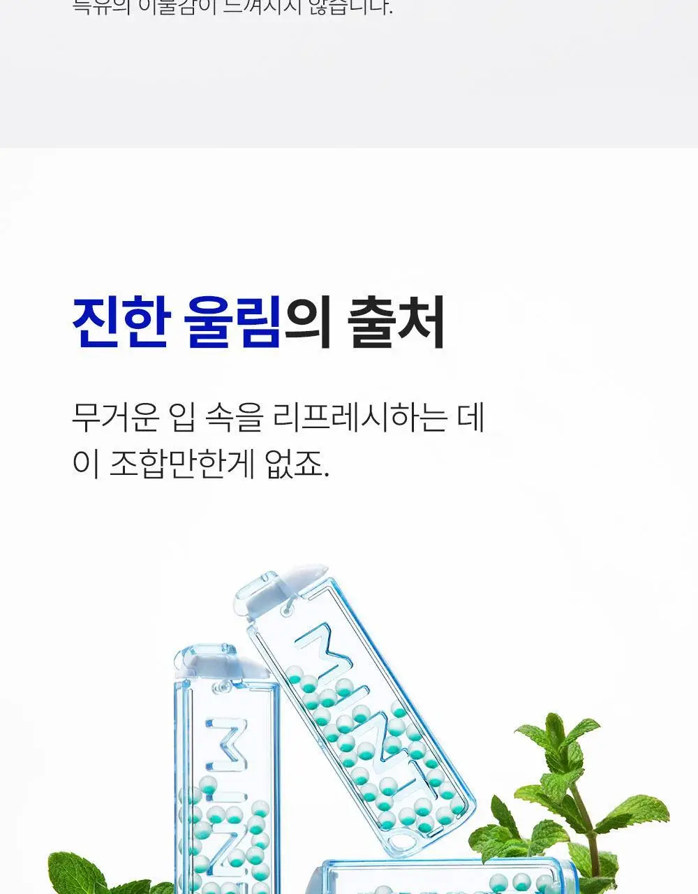[포켓몬 에디션][5월 올영픽] 듀오버스터 민트볼 더블기획 (+피카츄 3종 랜덤 키링) 상세페이지 13
